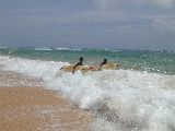 Surfer am Koggala Strand