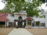 Sri Maha Bodhi